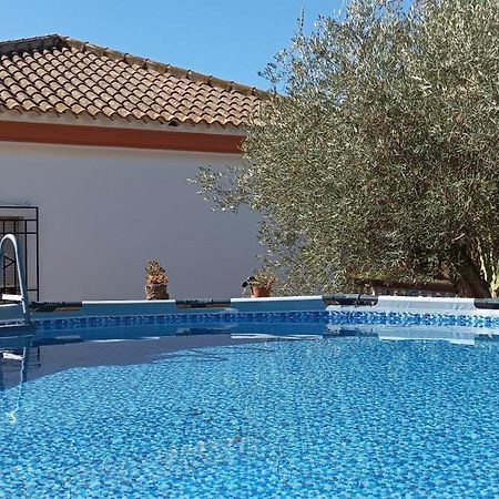Villa Oasis Los Gallardos Exterior photo